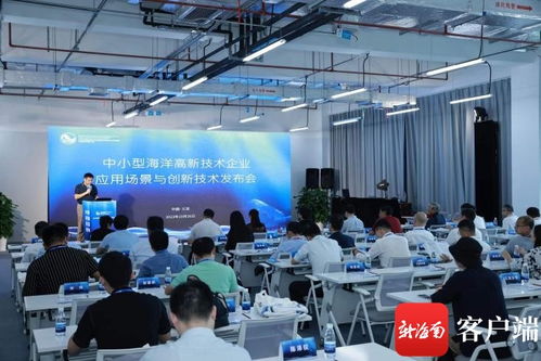 中小型高新技術(shù)企業(yè)應用場景與創(chuàng)新技術(shù)發(fā)布會在三亞舉辦
