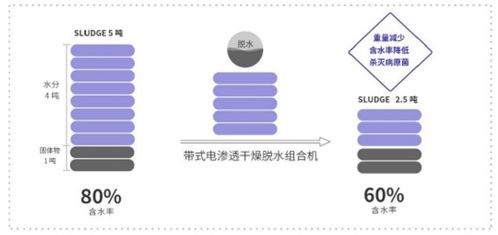 新環環保 污泥處置先進技術產品服務商，引領綠色環保新未來